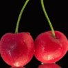 cherries