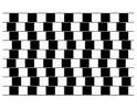 optical illutions